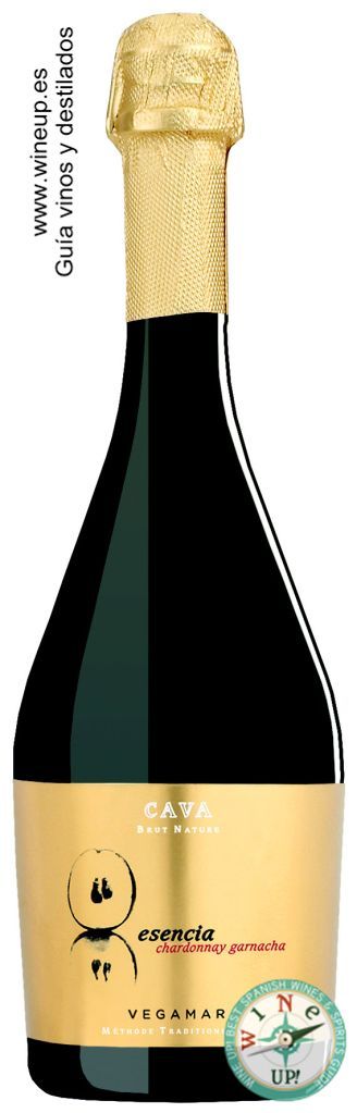 8620